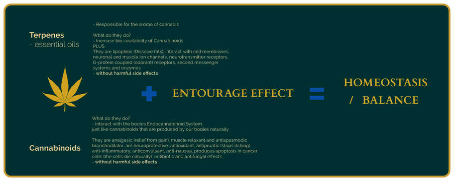 The Entourage Effect explained