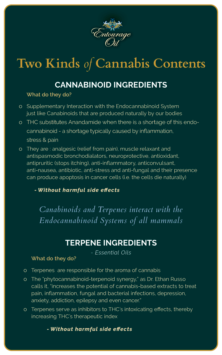 chemical ingredients found in cannabis plants including cannabinoids and terpenes